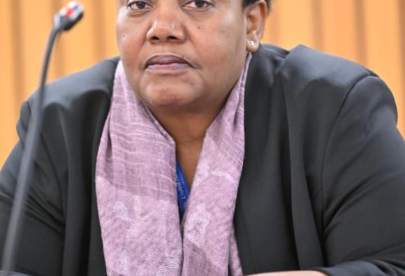 Africa Regional Consultation on the WSIS+20 Outcomes Implementation - Day 1