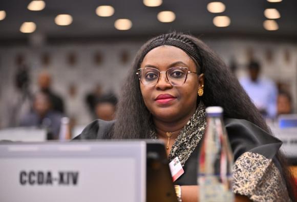 CCDA-XIV - Opening ceremony in pictures