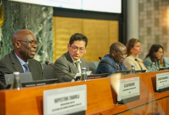 International Close-Out Conference on Measuring and Curbing Illicit Financial Flows (IFFs)