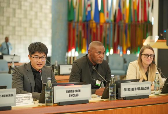International Close-Out Conference on Measuring and Curbing Illicit Financial Flows (IFFs)