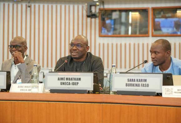 International Close-Out Conference on Measuring and Curbing Illicit Financial Flows (IFFs)