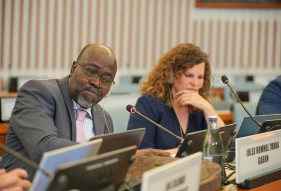 International Close-Out Conference on Measuring and Curbing Illicit Financial Flows (IFFs)