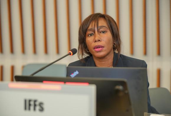 International Close-Out Conference on Measuring and Curbing Illicit Financial Flows (IFFs)