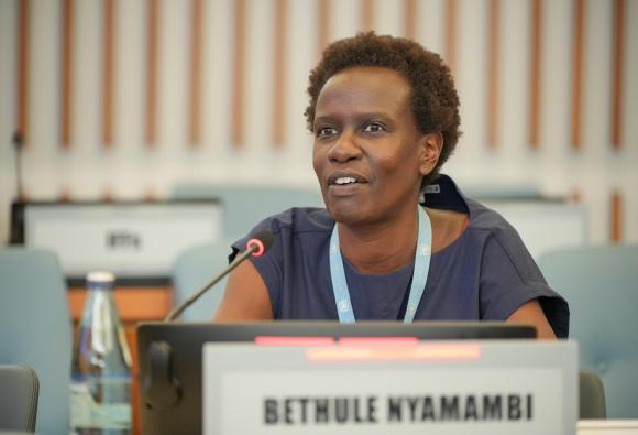 International Close-Out Conference on Measuring and Curbing Illicit Financial Flows (IFFs)