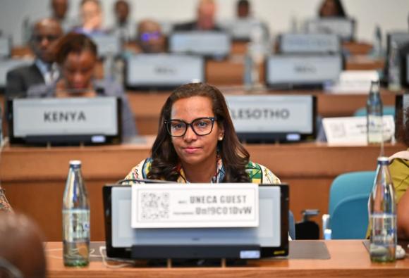Opening of the tenth session of STATCOM