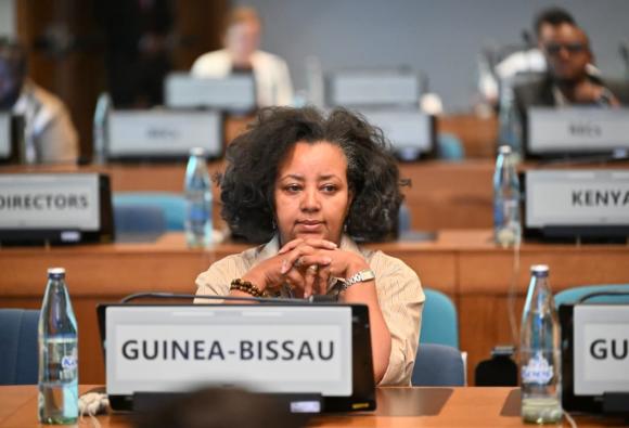 Opening of the tenth session of STATCOM