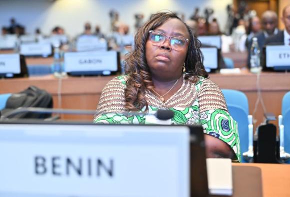 Opening of the tenth session of STATCOM