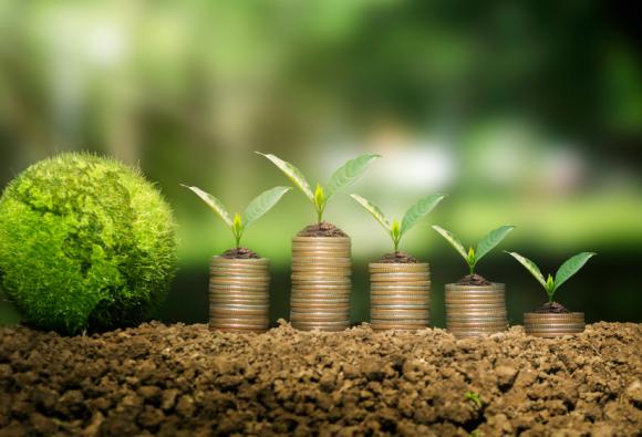 Guinea-Bissau launches RESIslands to strengthen climate resilience and prepare climate investment proposals