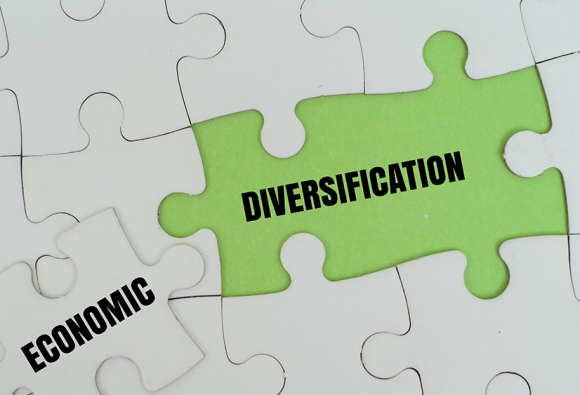 Central African Ambassadors call for stronger political ownership of economic diversification decade reforms
