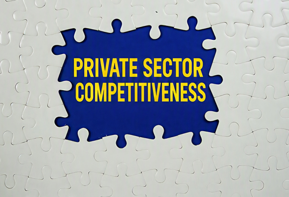 Central Africa must accelerate reform implementation to strengthen private sector competitiveness