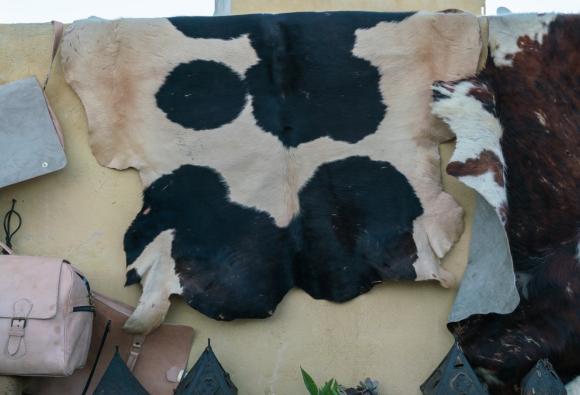 Eswatini validates joint procurement framework to unlock value in its leather sector