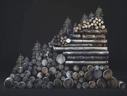 Réunion de cadrage de l’étude sur l’industrialisation durable de la filière bois en Afrique centrale