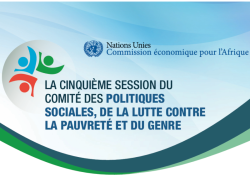 La cinquième session du comité des politiques sociales, de la lutte contre la pauvreté et du genre