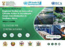 National Workshops on Regional Studies on Innovative Climate Action to Accelerate Green Industrialization in Southern Africa