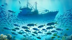 Technical Support for the Implementation of Côte d’Ivoire’s National Blue Economy Policy