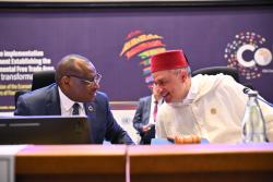 2025 Adebayo Adedeji Memorial Lecture