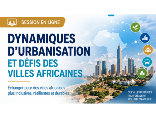 Webinaire - Dynamiques d'urbanisation et défis des villes africaines