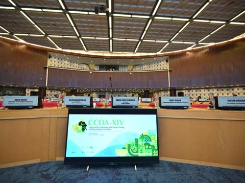 CCDA-XIV - Opening ceremony in pictures