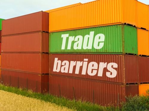Mnangagwa calls for removal of trade barriers to unlock COMESA's US$1.23 trillion market