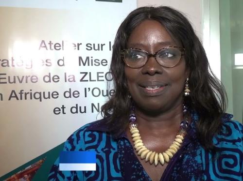 Embedded thumbnail for AfCFTA as a resilience strategy: Regional Workshop opens in Lomé