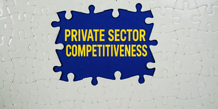 Central Africa must accelerate reform implementation to strengthen private sector competitiveness