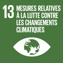 SDG 13