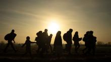 Migration should be embraced, not feared