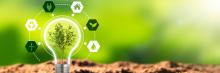 Global leaders meet in Kenya to wrestle with environmental crises