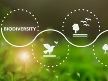 Armenia and ECA mark International Day for Biodiversity with a call for local action and global impact