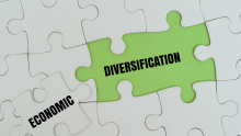 Central African Ambassadors call for stronger political ownership of economic diversification decade reforms