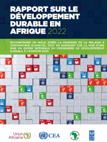 Rapport sur le développement durable en Afrique 2022