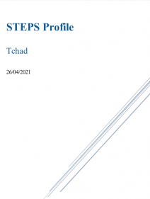 STEPS Profile Tchad April/2021