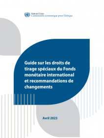 Guide sur les droits de tirage spéciaux du Fonds monétaire international et recommandations de changements