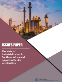 The state of industrialization in Southern Africa and opportunities for acceleration : issues Paper