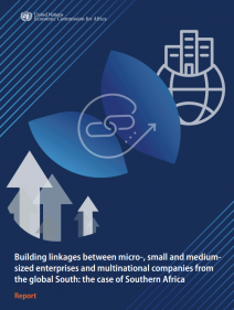 Building linkages between micro-, small and medium-sized enterprises and multinational companies from the global South: the case of Southern Africa