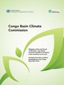 Mapping carbon and forest certification, and related economic benefits to investors in the transition to net zero