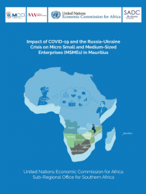 Impact of COVID-19 and the Russia-Ukraine crisis on micro small and medium-size enterprises(MSMEs)in Mauritius