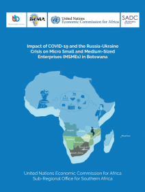 Impact of COVID-19 and the Russia-Ukraine crisis on micro small and medium-size enterprises(MSMEs)in Botswana