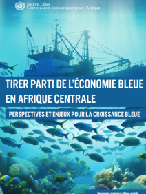 Tirer parti de l’économie bleue en Afrique centrale: perspectives et enjeux pour la croissance bleue