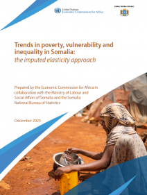 Trends in poverty, vulnerability and inequality in Somalia: the imputed elasticity approach