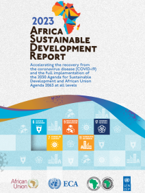 2023 Africa Sustainable Development Report