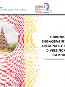 Chronicle of engagements towards sustainable economic diversification in Cameroon