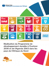Réalisation du Programme de développement durable à l’horizon 2030 et de l’Agenda 2063 dans les pays de l’Afrique du Nord