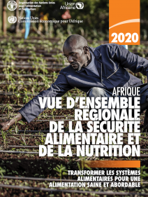 Afrique vue d’ensemble régionale de la sécurité alimentaire et de la nutrition 2020: transformer les systèmes alimentaires pour une alimentation saine et abordable