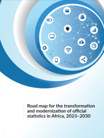 Road map for the transformation and modernization of official statistics in Africa, 2023–2030