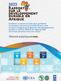 Rapport sur le développement durable en Afrique 2023