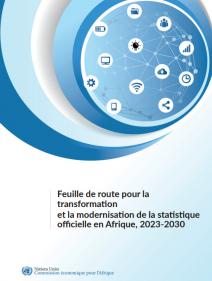 Feuille de route pour la transformation et la modernisation de la statistique officielle en Afrique, 2023-2030