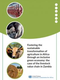 Fostering the sustainable transformation of agriculture in Africa through an inclusive green economy: the case of the livestock value chain in Zambia