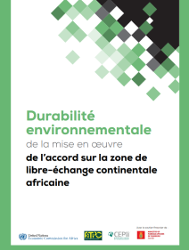 Durabilité environnementale de la mise en œuvre de l’accord sur la zone de libre-échange continentale africaine