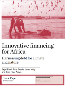 Innovative financing for Africa: harnessing debt for climate and nature